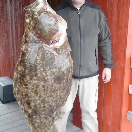 Hindrum Fjordsenter Vannvikan