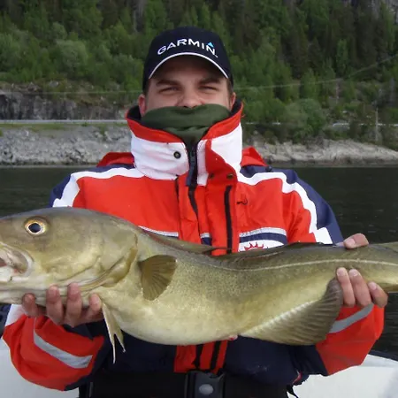 Dom wakacyjny Hindrum Fjordsenter Vannvikan